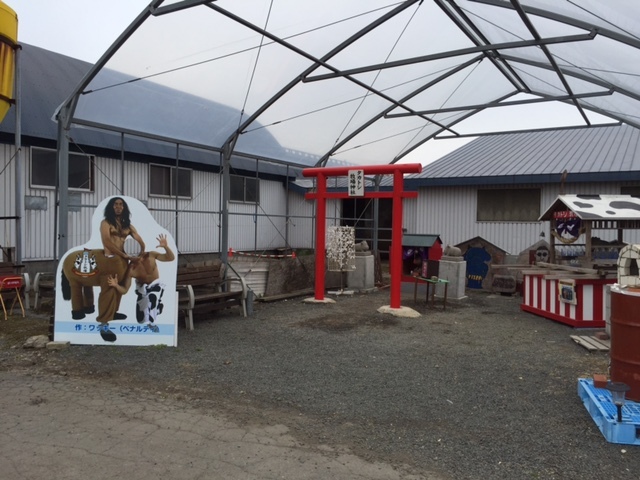 撮影ポイント
