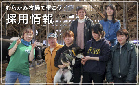 スタッフ募集！！「北の大地むらかみ牧場で働いてみませんか？」