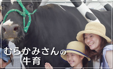 むらかみさんの牛育（出前講座）