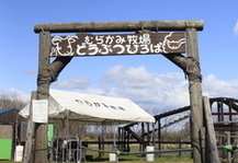 ⑧ どうぶつ広場