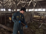 牛舎担当も紹介