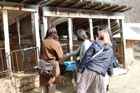餌やり体験