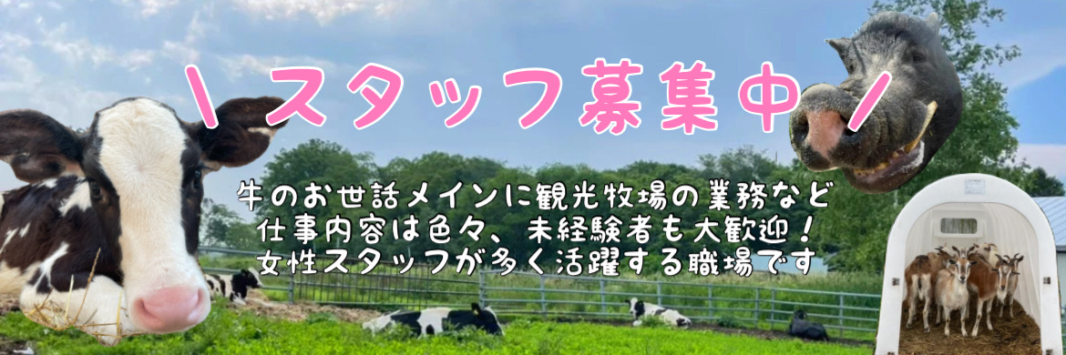 スタッフ募集中！！『北の大地　むらかみ牧場で働きませんか？』